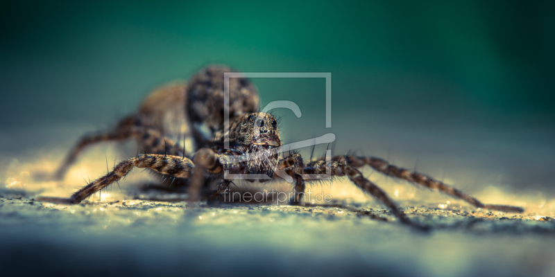 frei w&auml;hlbarer Bildausschnitt f&uuml;r Ihr Bild auf Mousepad