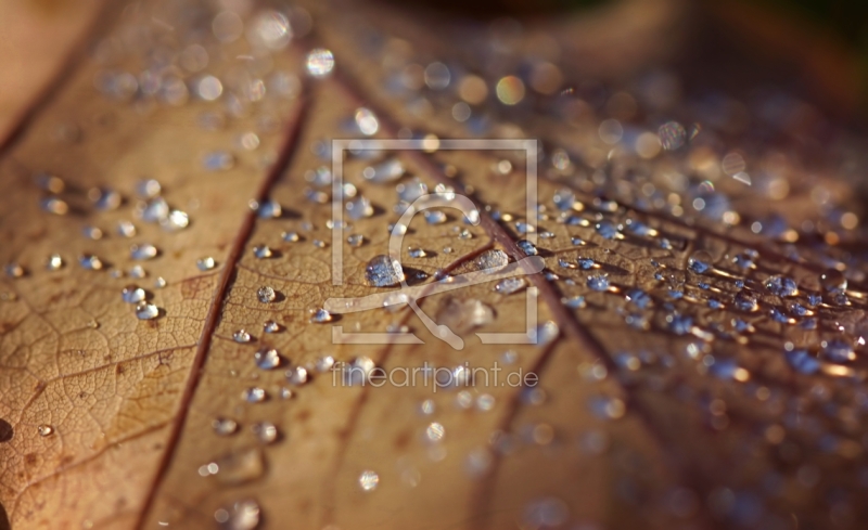 frei w&auml;hlbarer Bildausschnitt f&uuml;r Ihr Bild auf Mousepad