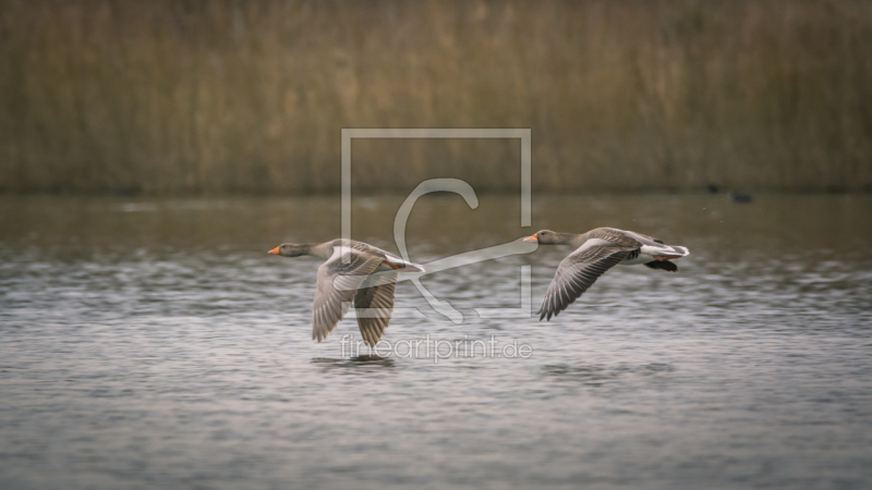 frei w&auml;hlbarer Bildausschnitt f&uuml;r Ihr Bild auf Mousepad