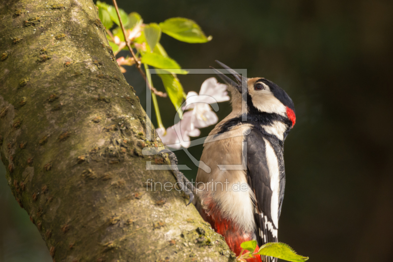 frei w&auml;hlbarer Bildausschnitt f&uuml;r Ihr Bild auf Mousepad