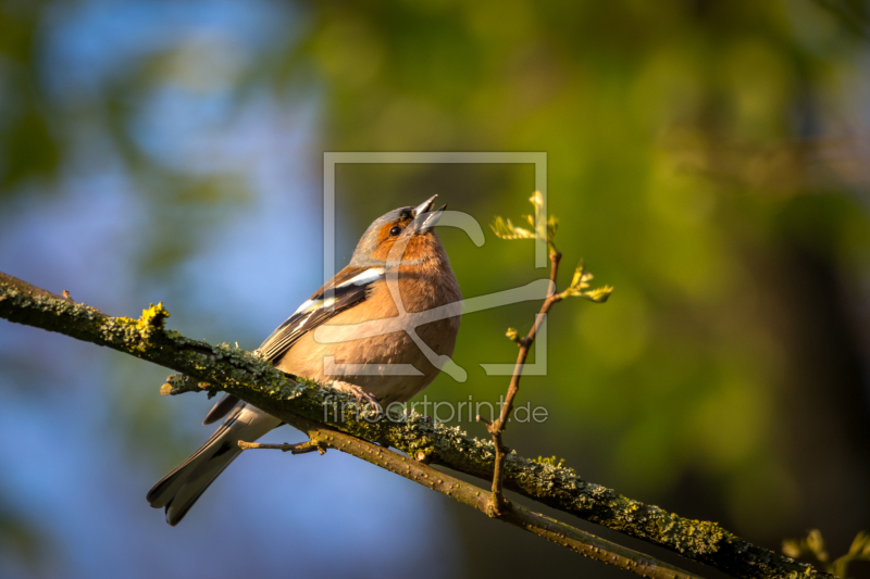 frei w&auml;hlbarer Bildausschnitt f&uuml;r Ihr Bild auf Mousepad