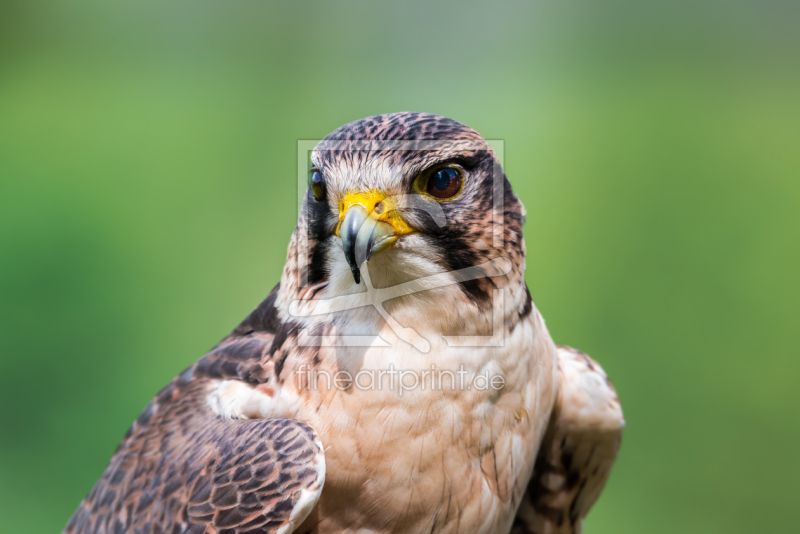 frei w&auml;hlbarer Bildausschnitt f&uuml;r Ihr Bild auf Mousepad