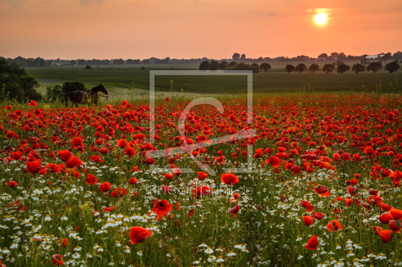 frei w&auml;hlbarer Bildausschnitt f&uuml;r Ihr Bild auf Mousepad
