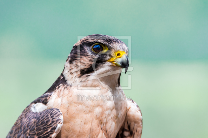 frei w&auml;hlbarer Bildausschnitt f&uuml;r Ihr Bild auf Mousepad