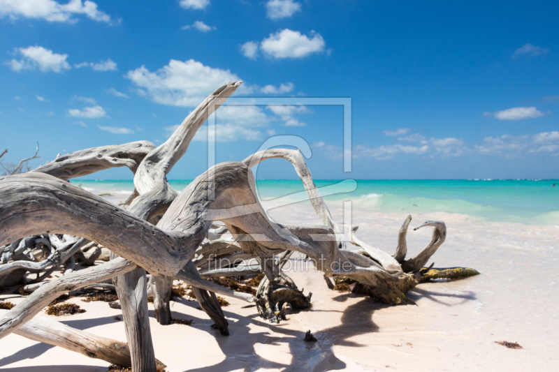 frei w&auml;hlbarer Bildausschnitt f&uuml;r Ihr Bild auf Mousepad