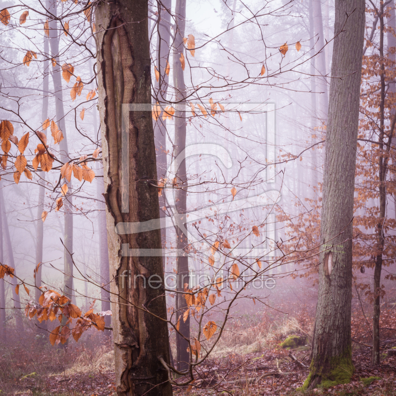 frei w&auml;hlbarer Bildausschnitt f&uuml;r Ihr Bild auf Mousepad