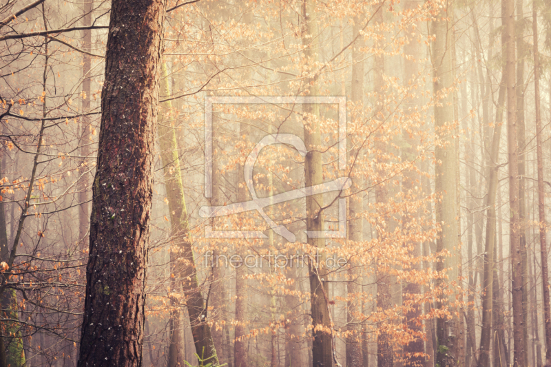 frei w&auml;hlbarer Bildausschnitt f&uuml;r Ihr Bild auf Mousepad