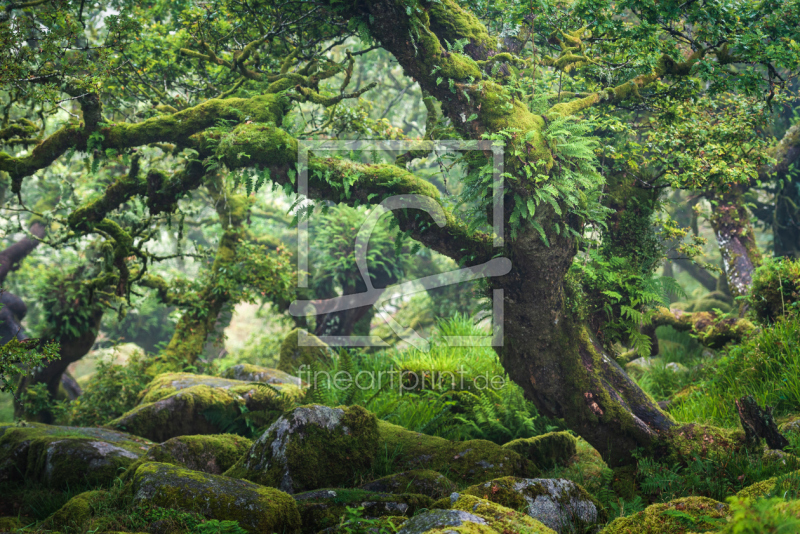 frei w&auml;hlbarer Bildausschnitt f&uuml;r Ihr Bild auf Mousepad