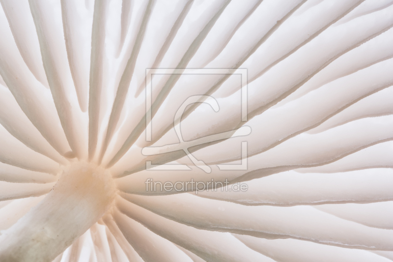 frei w&auml;hlbarer Bildausschnitt f&uuml;r Ihr Bild auf Mousepad