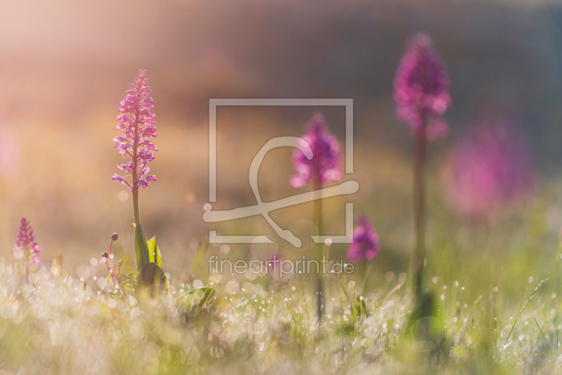 frei w&auml;hlbarer Bildausschnitt f&uuml;r Ihr Bild auf Mousepad