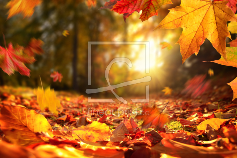 frei w&auml;hlbarer Bildausschnitt f&uuml;r Ihr Bild auf Mousepad