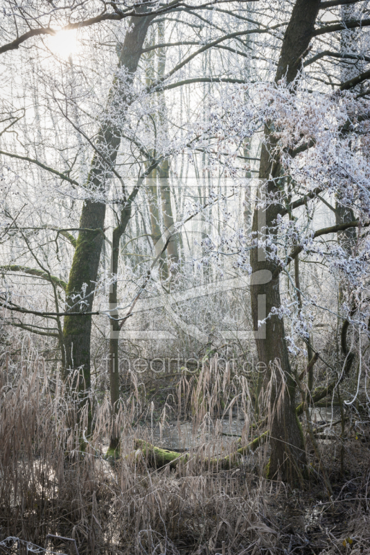 frei w&auml;hlbarer Bildausschnitt f&uuml;r Ihr Bild auf Mousepad