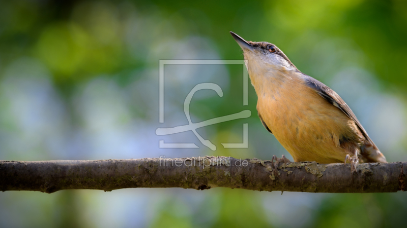 frei w&auml;hlbarer Bildausschnitt f&uuml;r Ihr Bild auf Mousepad