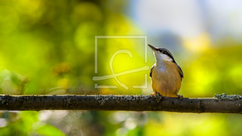 frei w&auml;hlbarer Bildausschnitt f&uuml;r Ihr Bild auf Mousepad