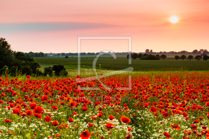 frei w&auml;hlbarer Bildausschnitt f&uuml;r Ihr Bild auf Mousepad