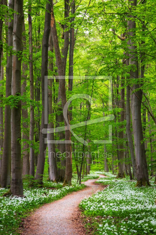 frei w&auml;hlbarer Bildausschnitt f&uuml;r Ihr Bild auf Mousepad