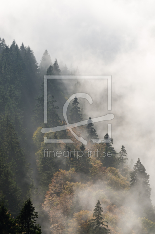 frei w&auml;hlbarer Bildausschnitt f&uuml;r Ihr Bild auf Mousepad