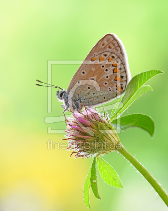 frei w&auml;hlbarer Bildausschnitt f&uuml;r Ihr Bild auf Mousepad