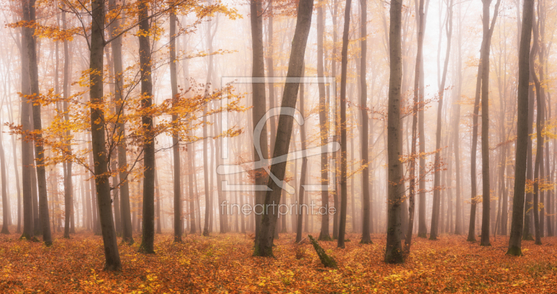 frei w&auml;hlbarer Bildausschnitt f&uuml;r Ihr Bild auf Mousepad