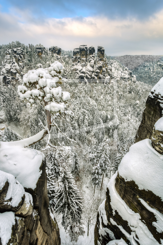 frei w&auml;hlbarer Bildausschnitt f&uuml;r Ihr Bild auf Mousepad