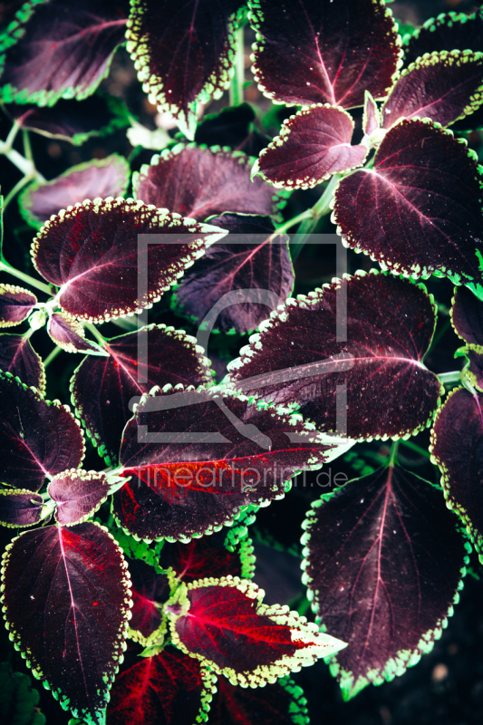 frei w&auml;hlbarer Bildausschnitt f&uuml;r Ihr Bild auf Mousepad