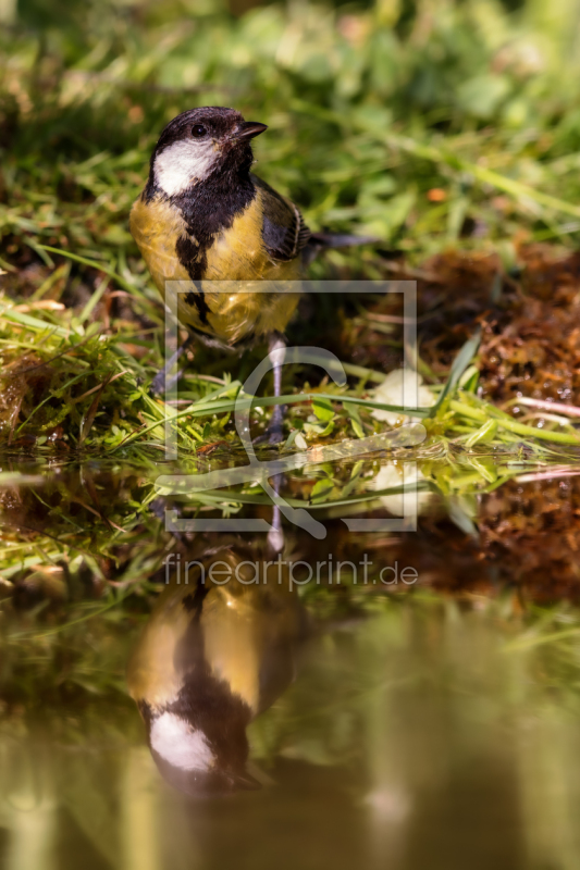 frei w&auml;hlbarer Bildausschnitt f&uuml;r Ihr Bild auf Mousepad