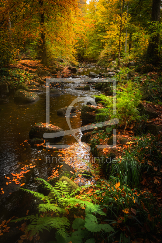 frei w&auml;hlbarer Bildausschnitt f&uuml;r Ihr Bild auf Mousepad