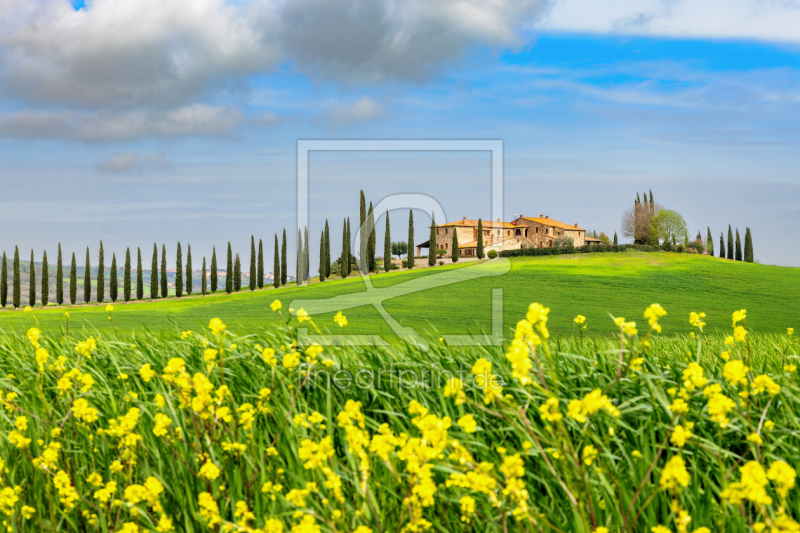frei w&auml;hlbarer Bildausschnitt f&uuml;r Ihr Bild auf Mousepad