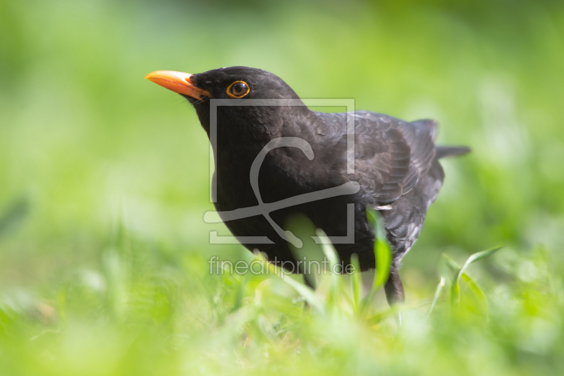 frei w&auml;hlbarer Bildausschnitt f&uuml;r Ihr Bild auf Mousepad