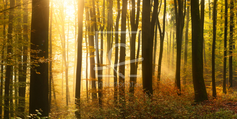 frei wählbarer Bildausschnitt für Ihr Bild auf Mousepad