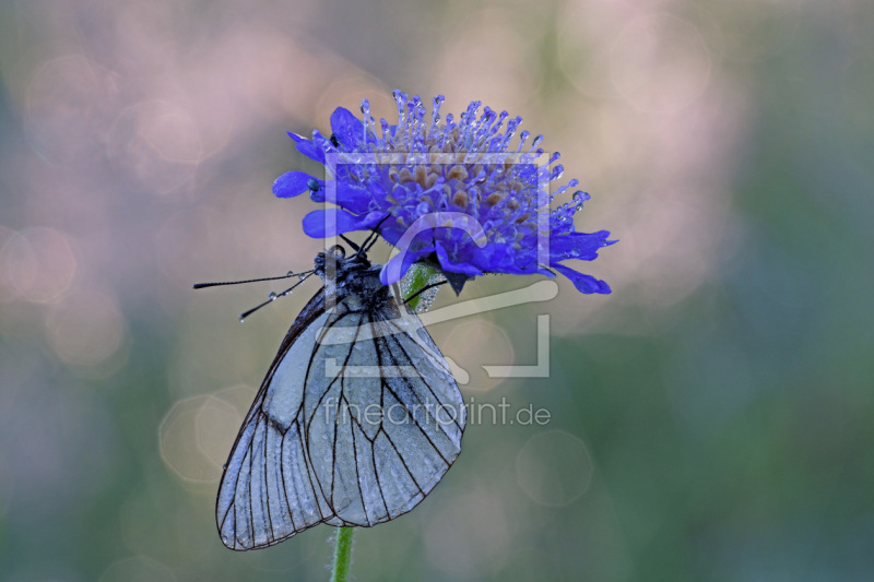 frei w&auml;hlbarer Bildausschnitt f&uuml;r Ihr Bild auf Mousepad