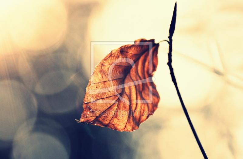 frei w&auml;hlbarer Bildausschnitt f&uuml;r Ihr Bild auf Mousepad