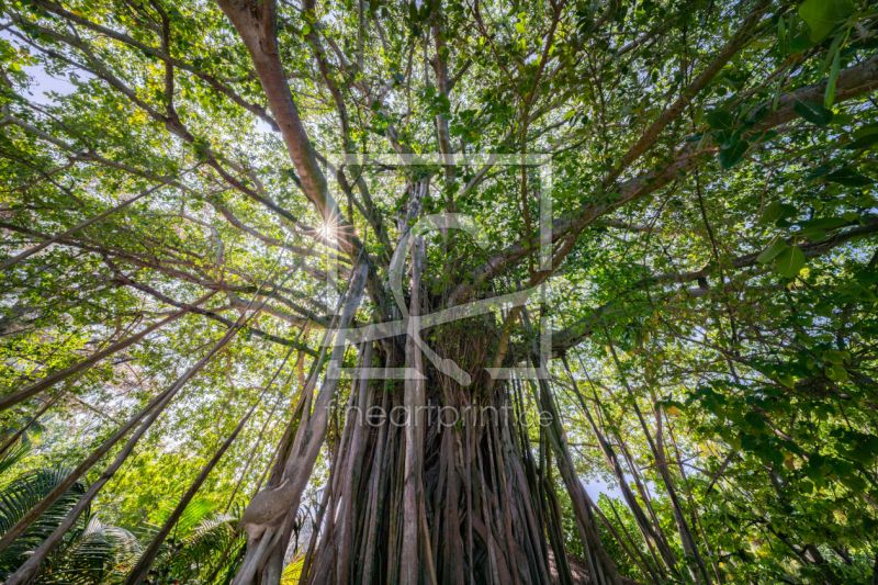 frei w&auml;hlbarer Bildausschnitt f&uuml;r Ihr Bild auf Mousepad