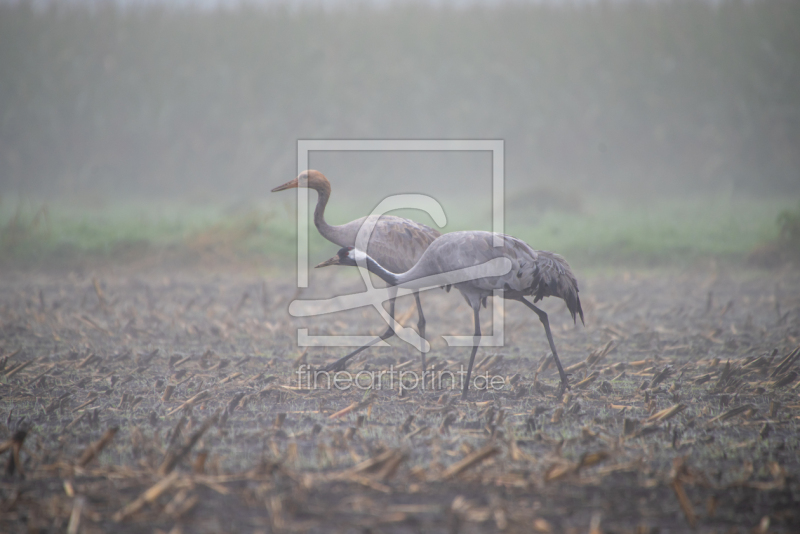 frei w&auml;hlbarer Bildausschnitt f&uuml;r Ihr Bild auf Mousepad