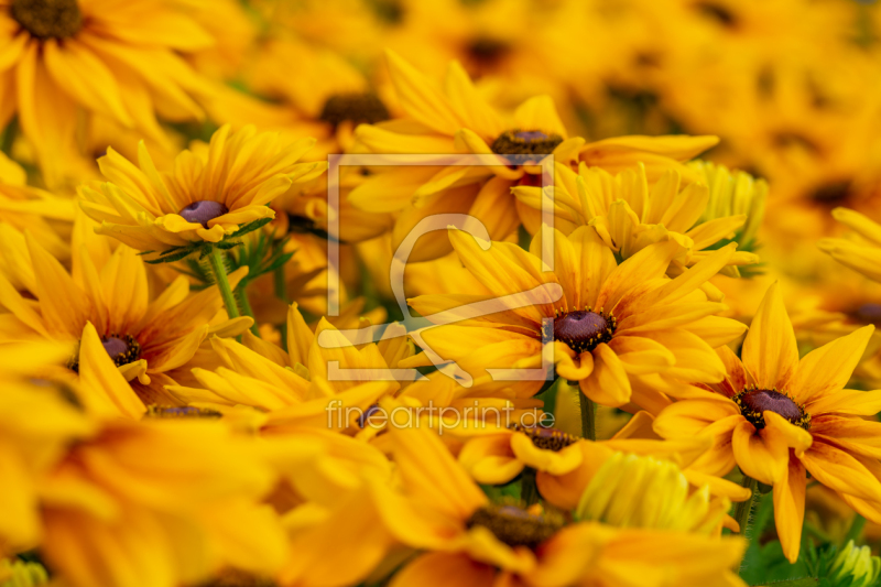 frei w&auml;hlbarer Bildausschnitt f&uuml;r Ihr Bild auf Mousepad