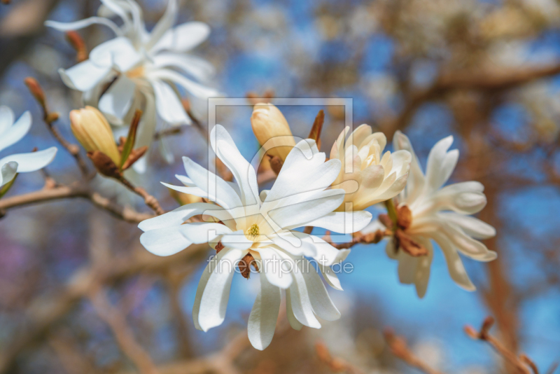frei w&auml;hlbarer Bildausschnitt f&uuml;r Ihr Bild auf Mousepad