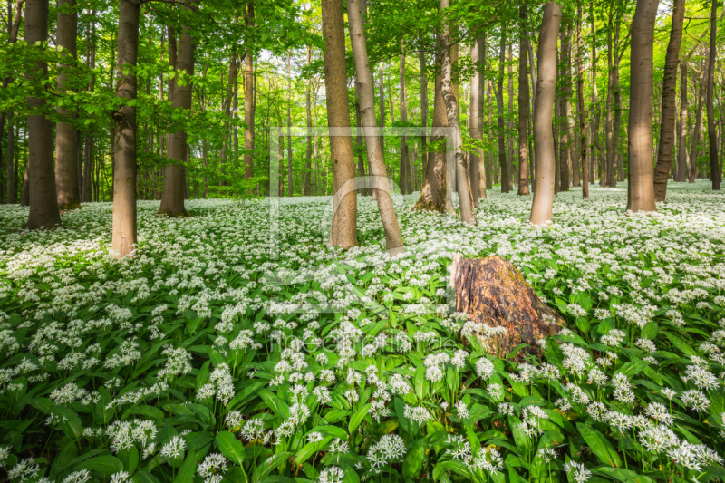 frei w&auml;hlbarer Bildausschnitt f&uuml;r Ihr Bild auf Mousepad
