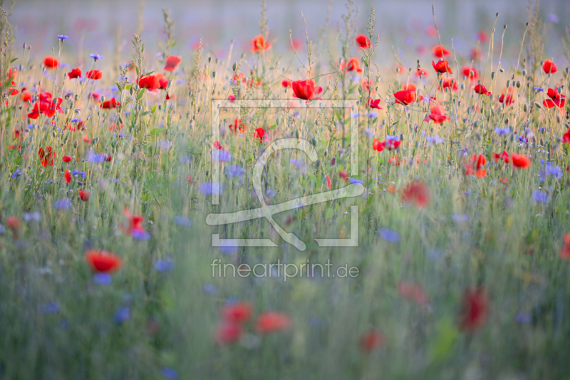 frei wählbarer Bildausschnitt für Ihr Bild auf Mousepad