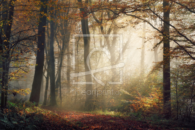 frei w&auml;hlbarer Bildausschnitt f&uuml;r Ihr Bild auf Mousepad