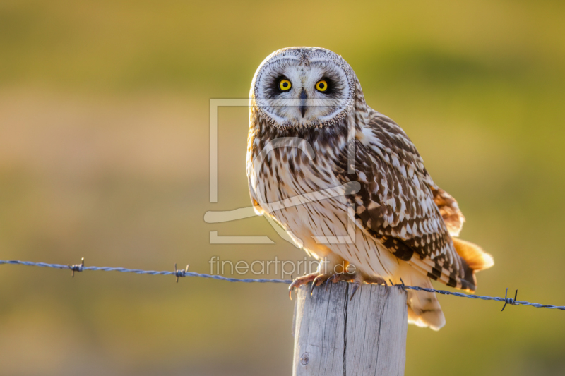frei w&auml;hlbarer Bildausschnitt f&uuml;r Ihr Bild auf Mousepad