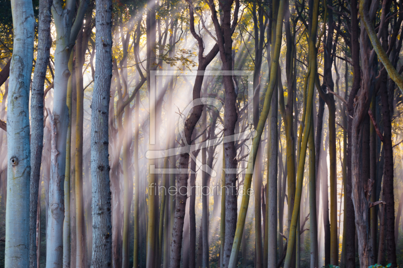 frei w&auml;hlbarer Bildausschnitt f&uuml;r Ihr Bild auf Mousepad