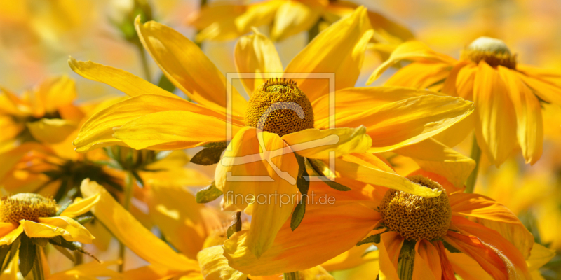 frei w&auml;hlbarer Bildausschnitt f&uuml;r Ihr Bild auf Mousepad