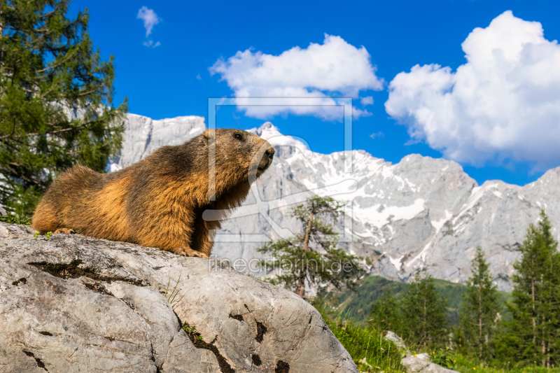 frei w&auml;hlbarer Bildausschnitt f&uuml;r Ihr Bild auf Mousepad