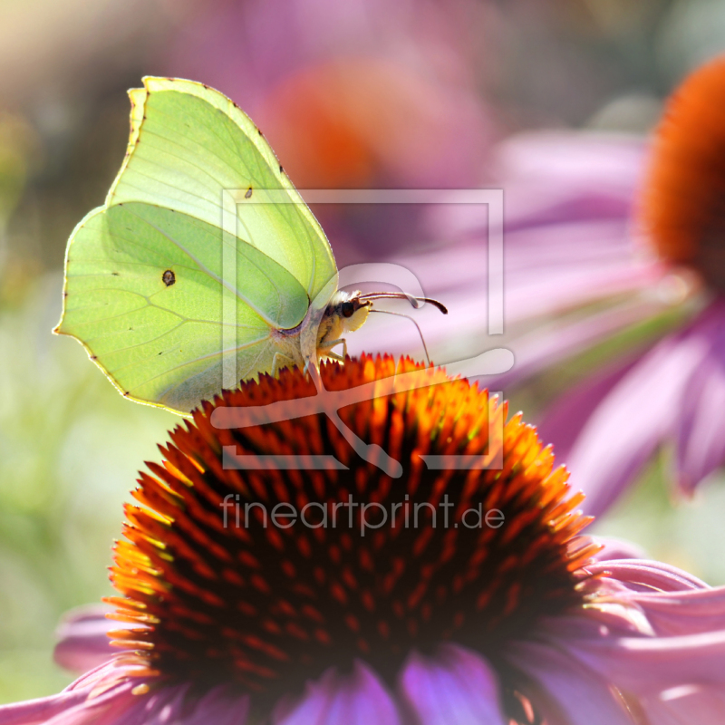 frei w&auml;hlbarer Bildausschnitt f&uuml;r Ihr Bild auf Mousepad