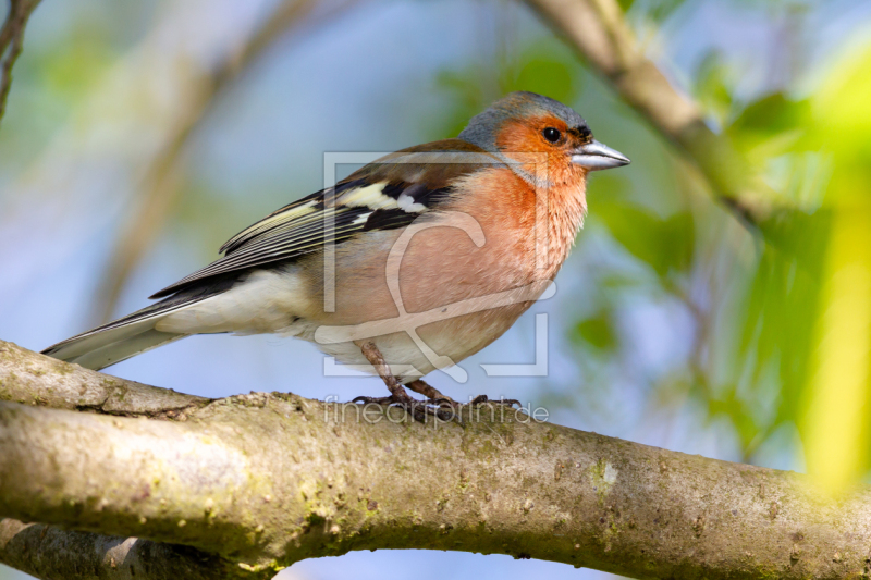 frei w&auml;hlbarer Bildausschnitt f&uuml;r Ihr Bild auf Mousepad