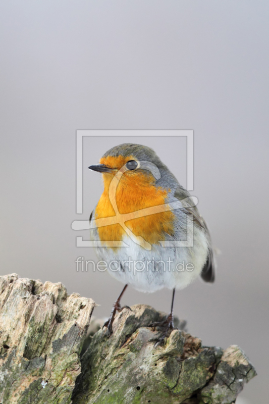 frei w&auml;hlbarer Bildausschnitt f&uuml;r Ihr Bild auf Mousepad