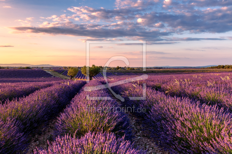 frei w&auml;hlbarer Bildausschnitt f&uuml;r Ihr Bild auf Mousepad