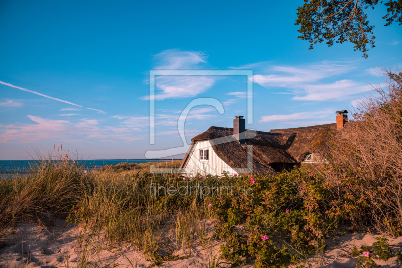 frei w&auml;hlbarer Bildausschnitt f&uuml;r Ihr Bild auf Mousepad