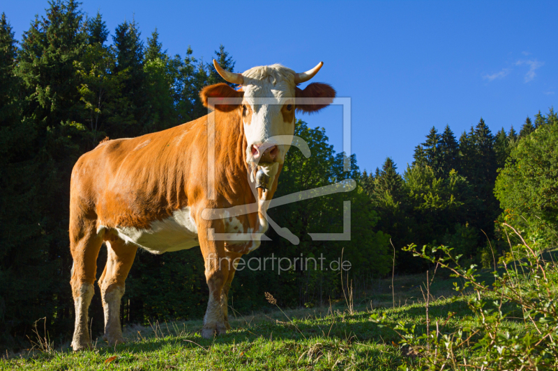 frei w&auml;hlbarer Bildausschnitt f&uuml;r Ihr Bild auf Mousepad