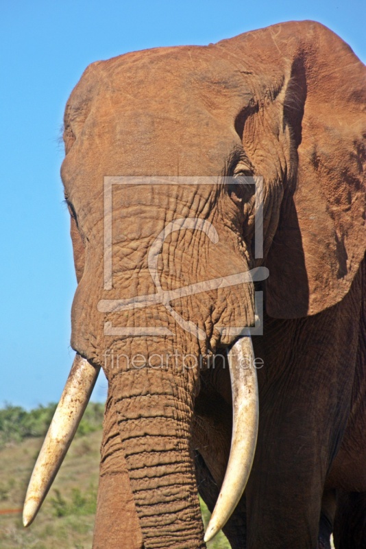 frei w&auml;hlbarer Bildausschnitt f&uuml;r Ihr Bild auf Mousepad